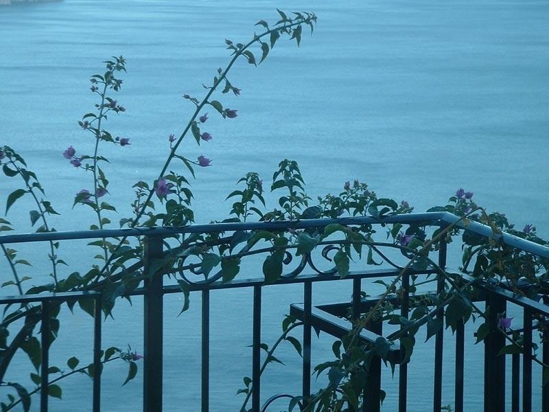 Il Giardino Dei Limoni Apartment Ravello Exterior photo